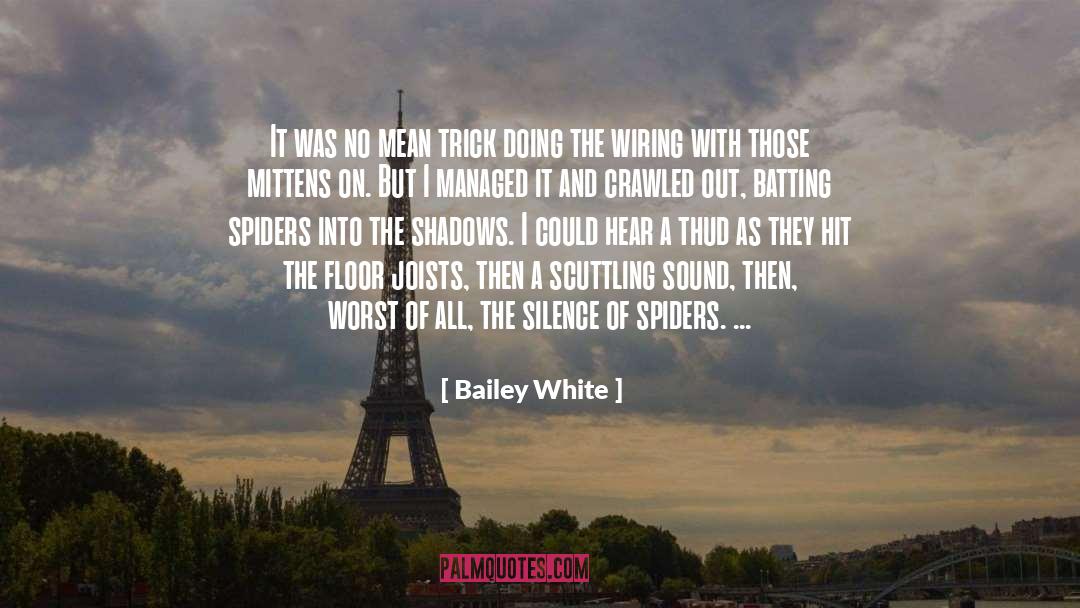 Mittens quotes by Bailey White