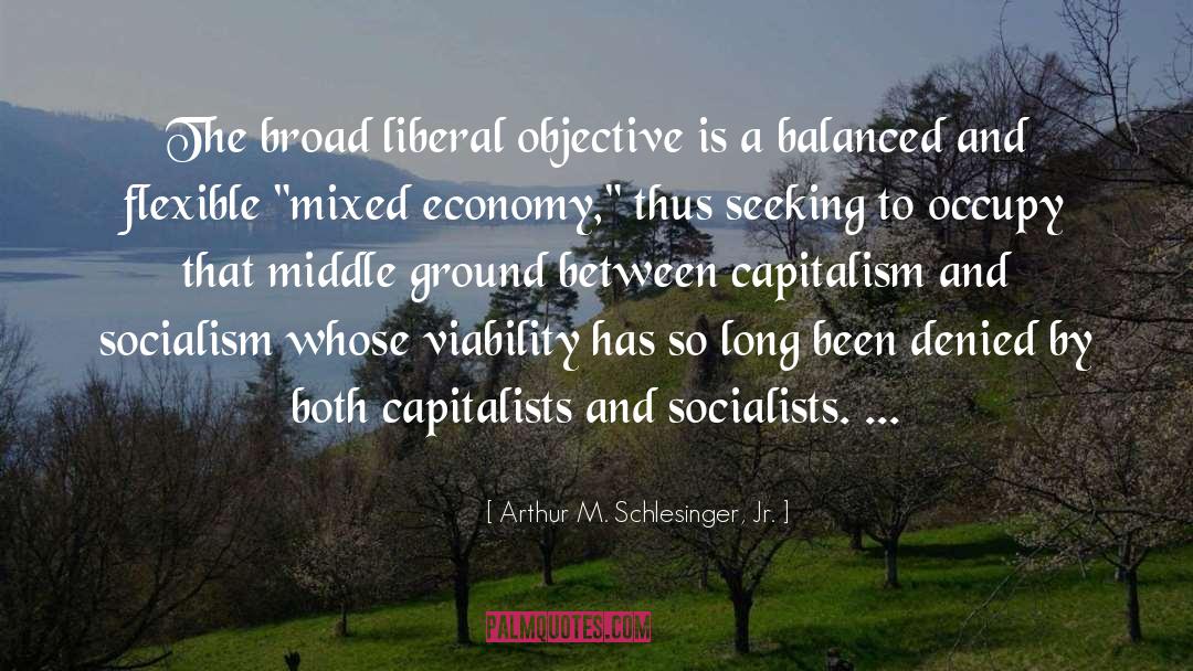 Mixed Economy quotes by Arthur M. Schlesinger, Jr.