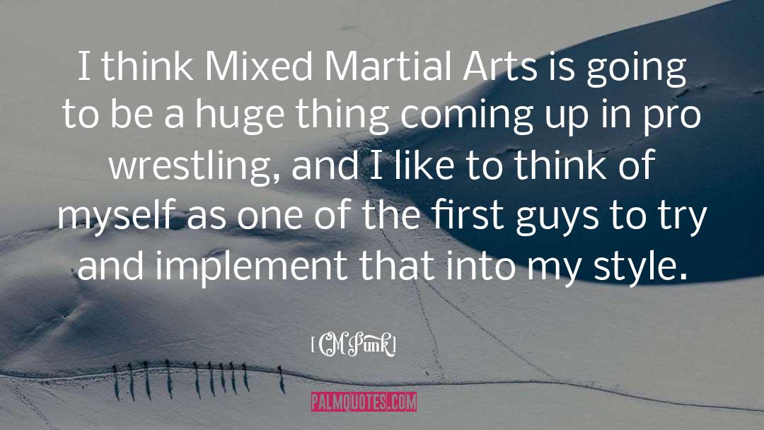 Mixed Martial Arts quotes by CM Punk