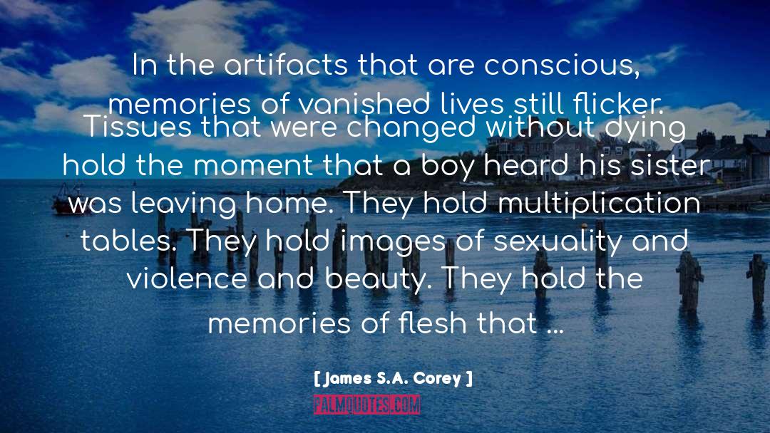 Mixed Metaphors A Simile quotes by James S.A. Corey