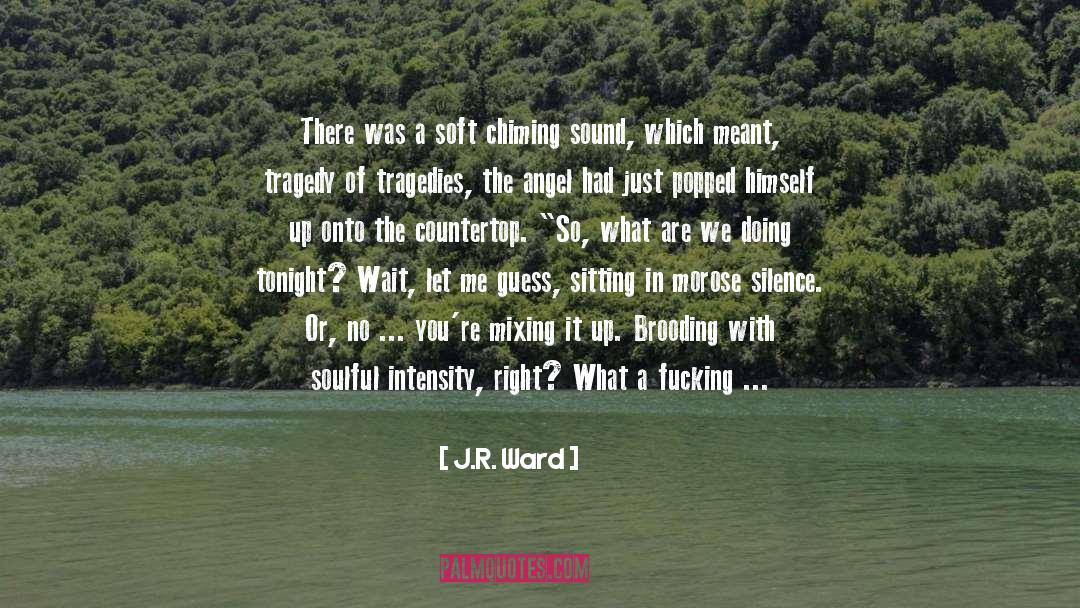 Mixing It Up quotes by J.R. Ward