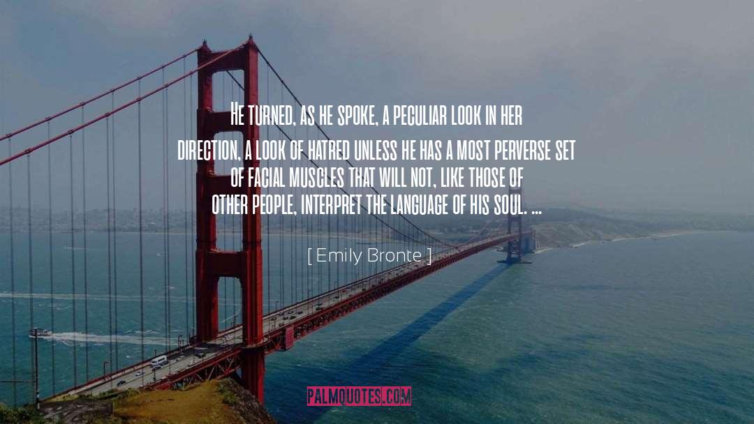 Mixteco Language quotes by Emily Bronte