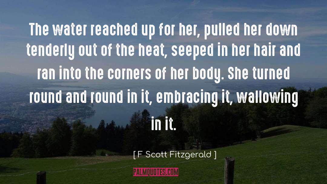 Mizugaki Water quotes by F Scott Fitzgerald