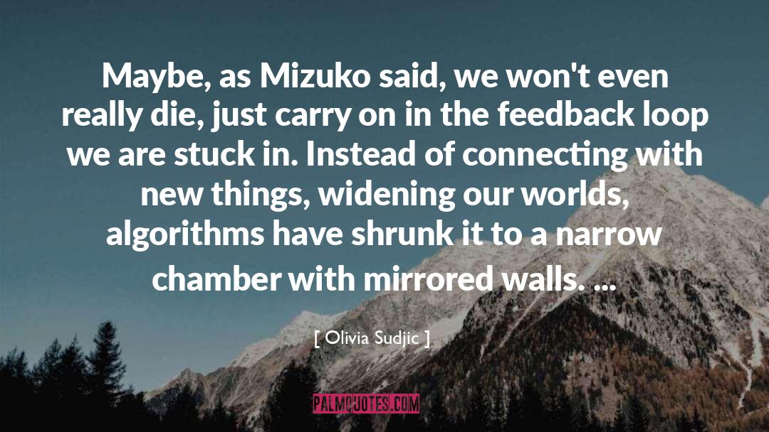 Mizuko quotes by Olivia Sudjic