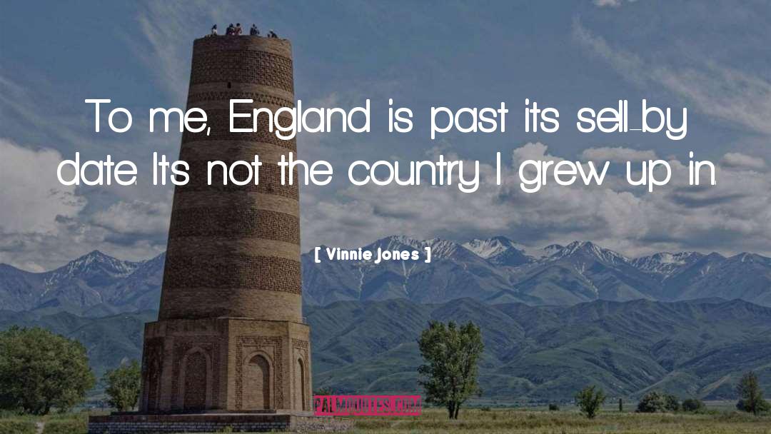 Mk England quotes by Vinnie Jones