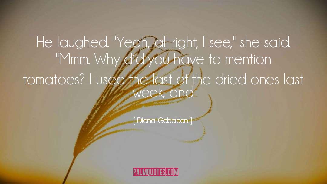 Mmm quotes by Diana Gabaldon