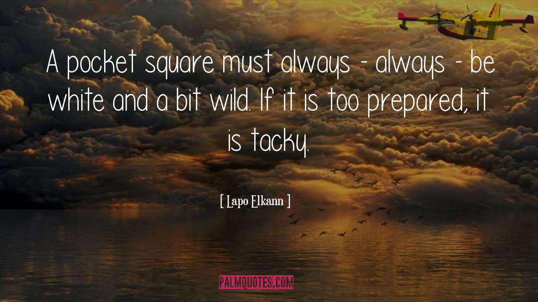 Mn Wild quotes by Lapo Elkann