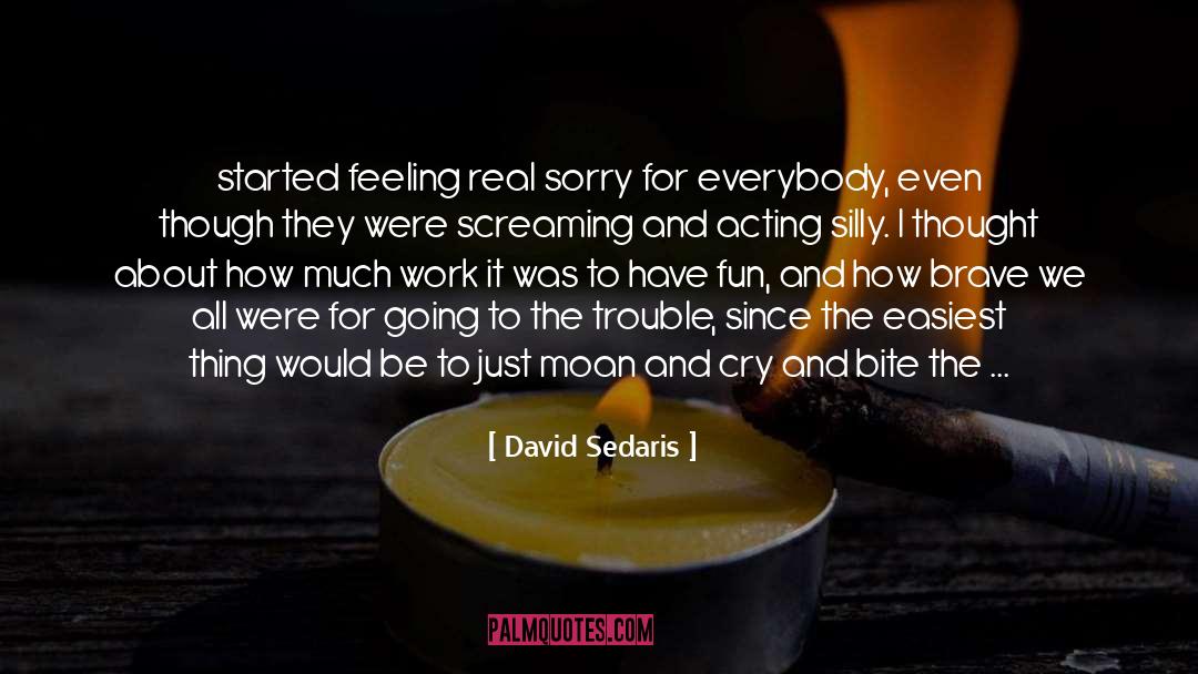 Moan quotes by David Sedaris