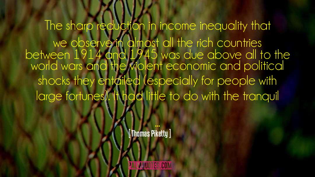 Mobility Scooter quotes by Thomas Piketty