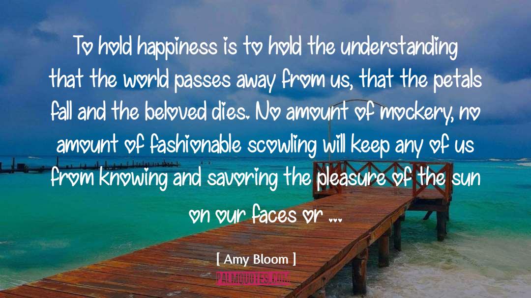 Mockery quotes by Amy Bloom