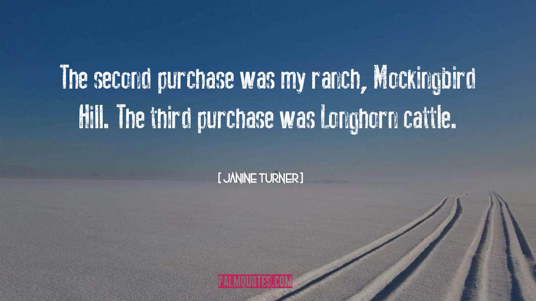 Mockingbird quotes by Janine Turner