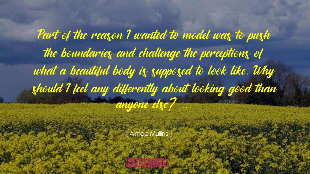 Model Photography quotes by Aimee Mullins