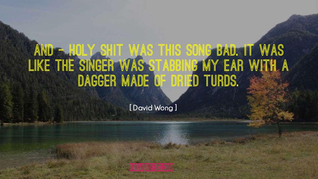 Model Singer Song Writerer quotes by David Wong
