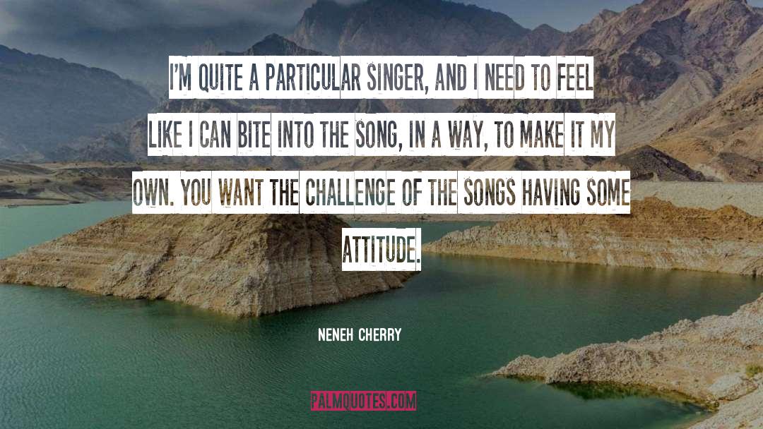 Model Singer Song Writerer quotes by Neneh Cherry