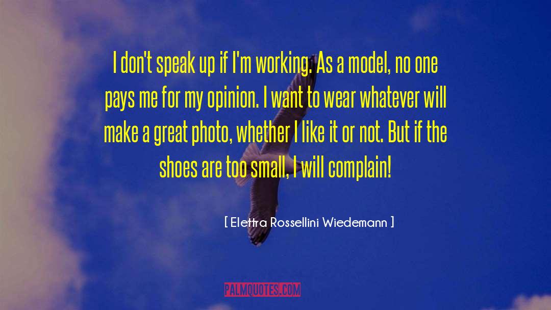 Model T quotes by Elettra Rossellini Wiedemann