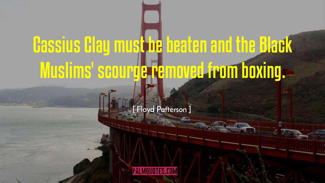 Moderate Muslims quotes by Floyd Patterson