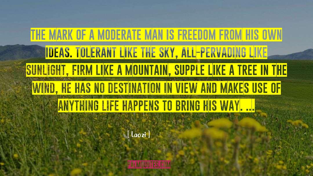 Moderate quotes by Laozi