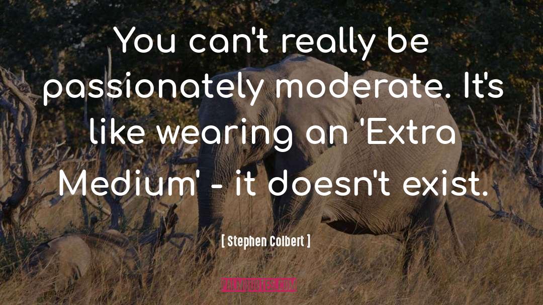 Moderate quotes by Stephen Colbert