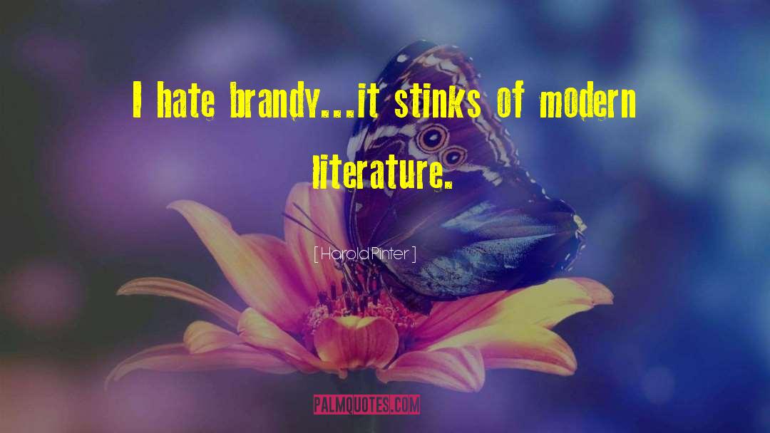 Modern Literature quotes by Harold Pinter