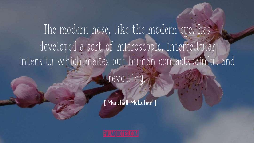 Modern Naturalism quotes by Marshall McLuhan