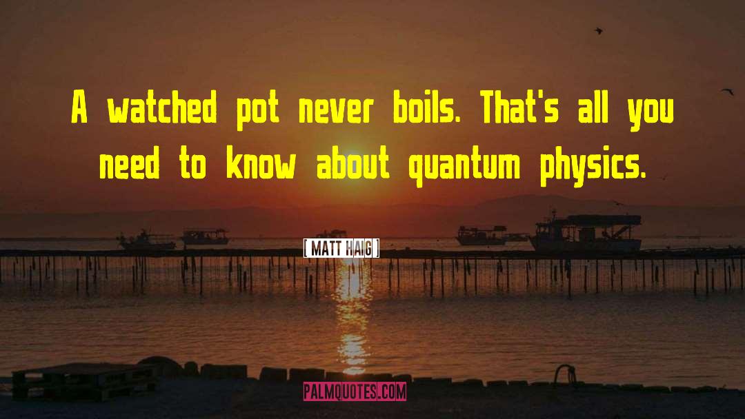 Modern Physics quotes by Matt Haig