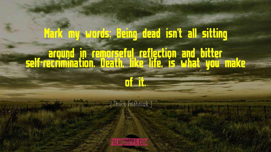 Modern Reflection quotes by Chuck Palahniuk