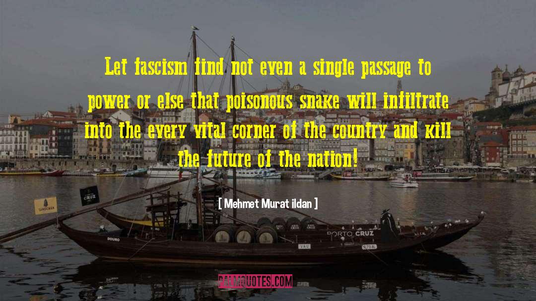 Modern Turkish Writers quotes by Mehmet Murat Ildan