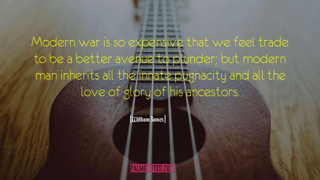 Modern War quotes by William James