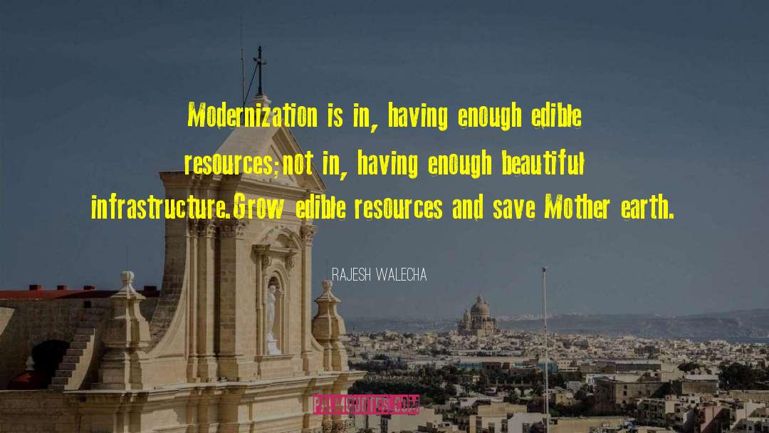 Modernization quotes by Rajesh Walecha