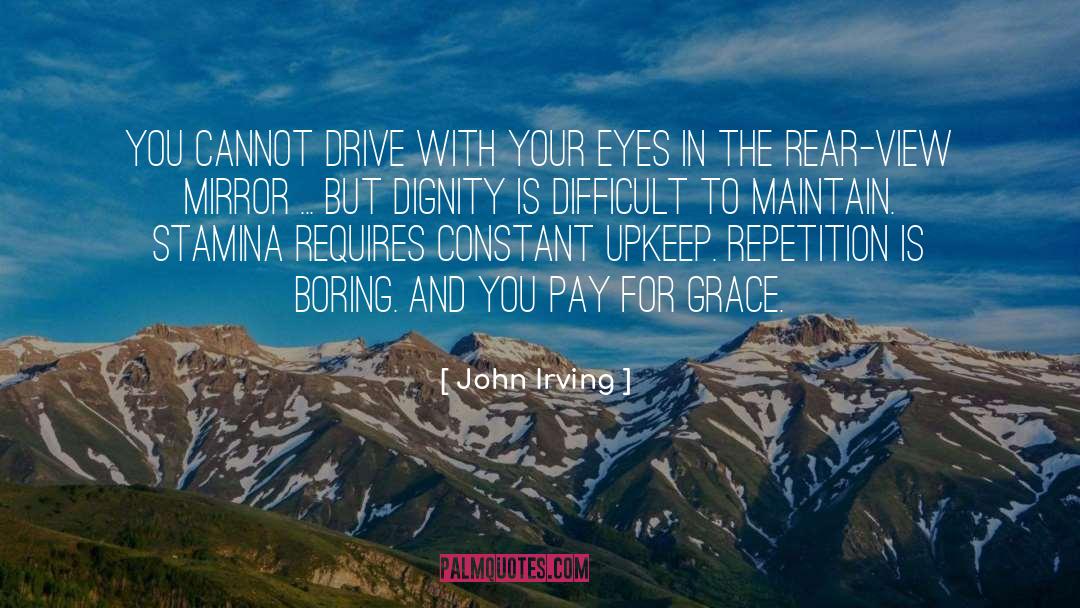 Modesty Is Dignity quotes by John Irving