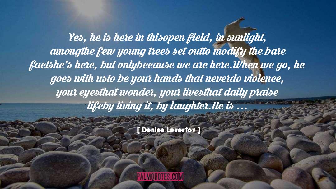 Modify quotes by Denise Levertov