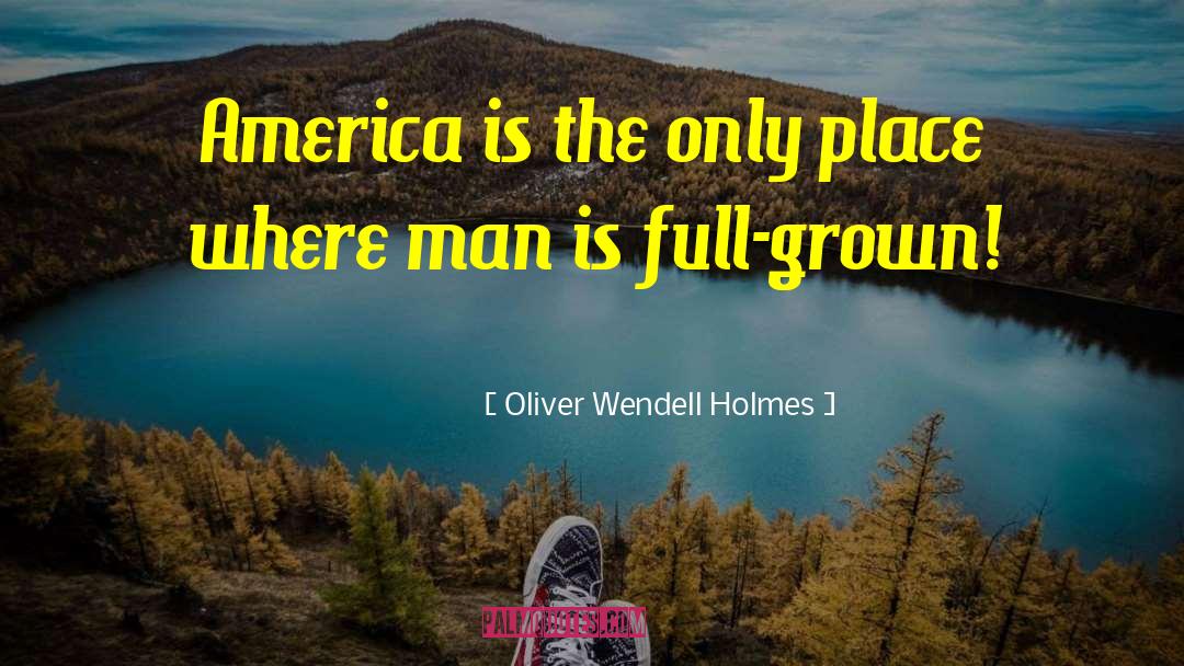 Mogano Italiano quotes by Oliver Wendell Holmes