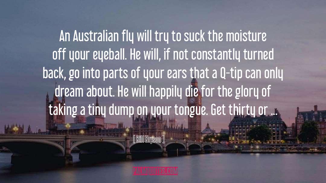 Moisture quotes by Bill Bryson