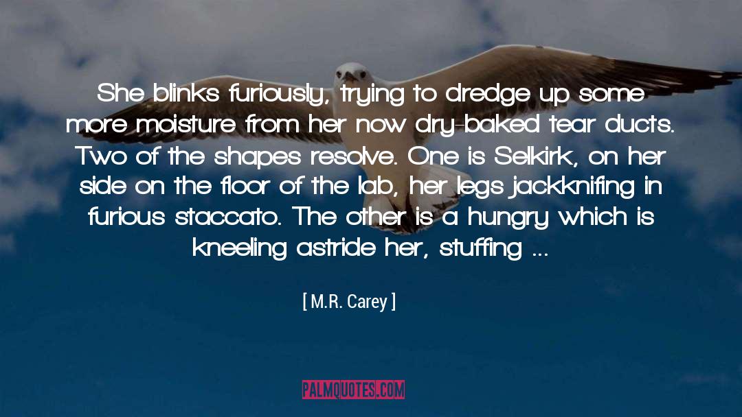 Moisture quotes by M.R. Carey