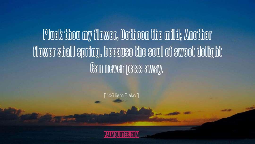 Mokihana Flower quotes by William Blake
