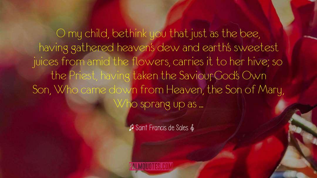 Molding Children quotes by Saint Francis De Sales