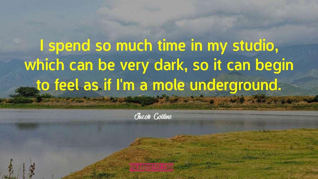 Mole quotes by Jacob Collins