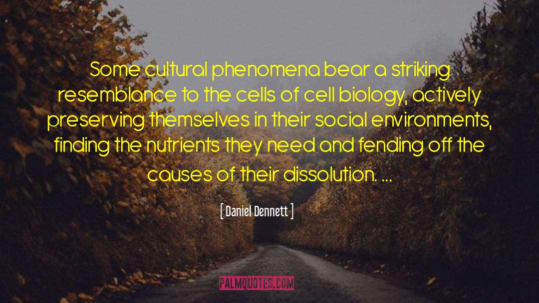 Molecular And Cell Biology quotes by Daniel Dennett