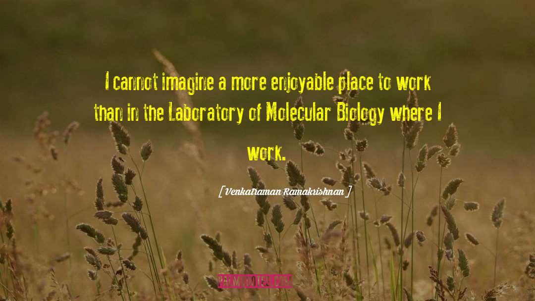 Molecular Biology quotes by Venkatraman Ramakrishnan