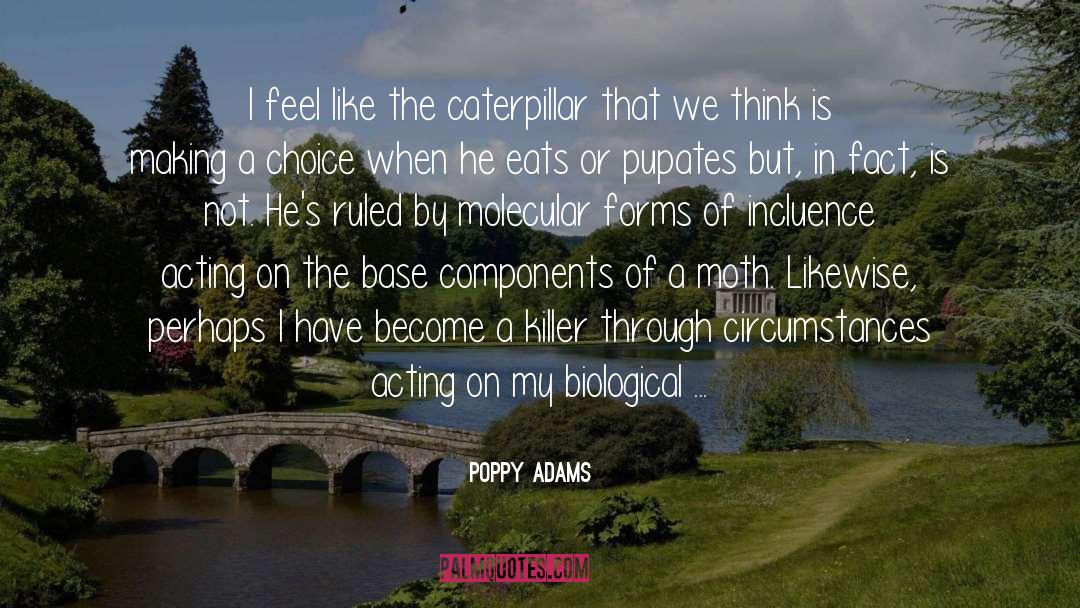 Molecular quotes by Poppy Adams