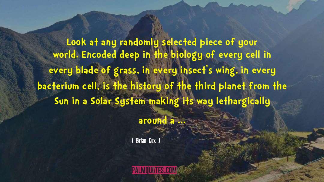 Molecular Structure quotes by Brian Cox