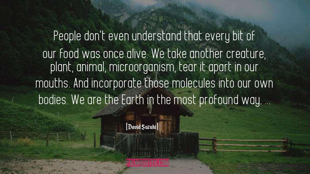 Molecules quotes by David Suzuki