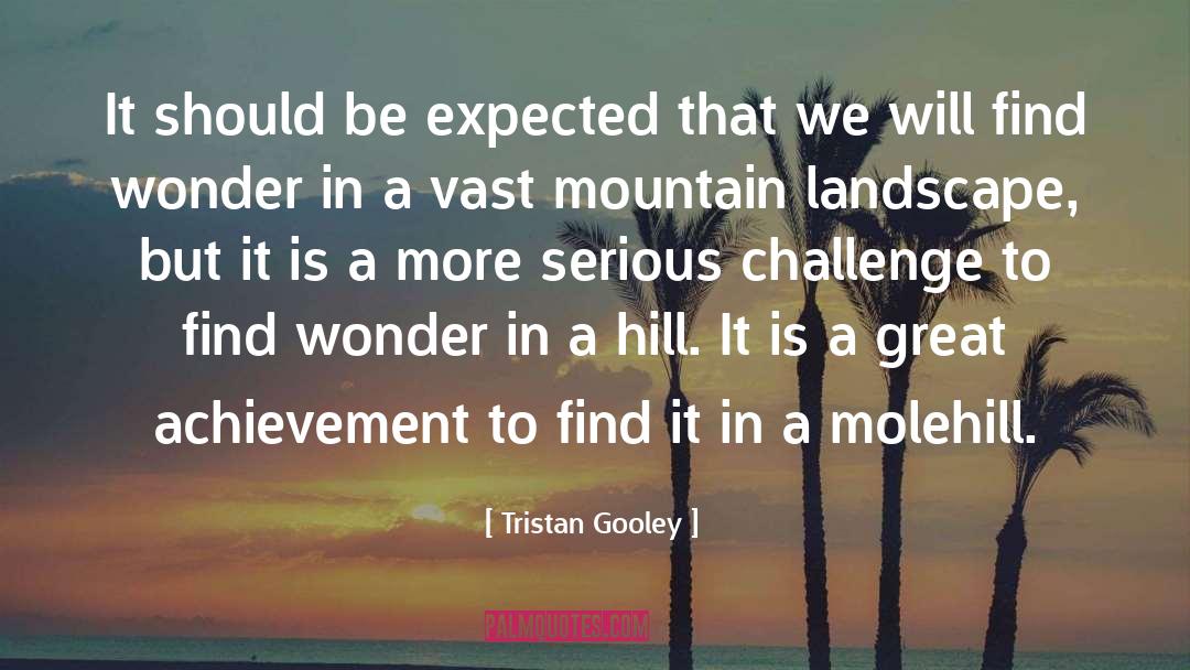 Molehill quotes by Tristan Gooley