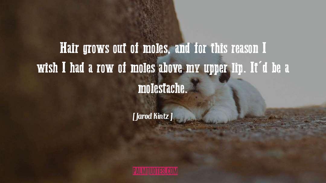 Moles quotes by Jarod Kintz