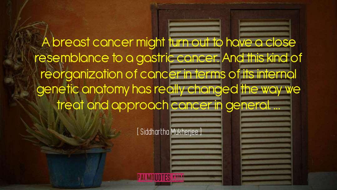 Mom Having Breast Cancer quotes by Siddhartha Mukherjee