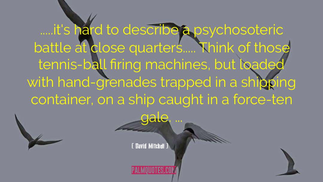 Moment Of Force quotes by David Mitchell