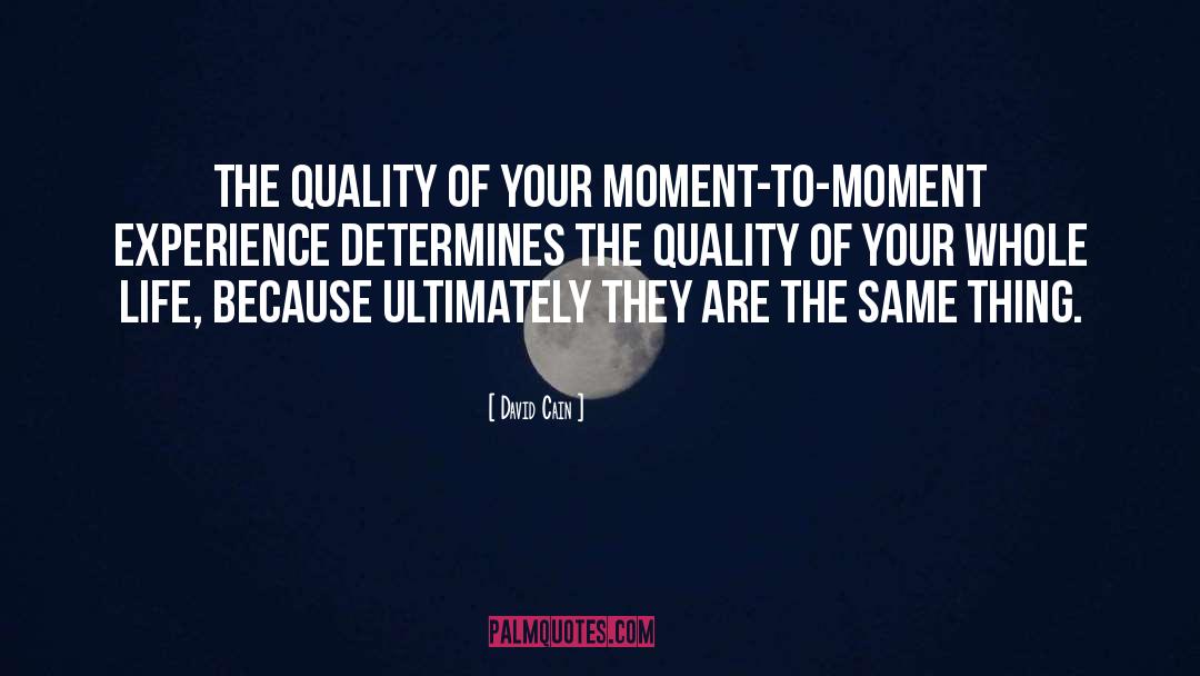 Moment To Moment quotes by David Cain