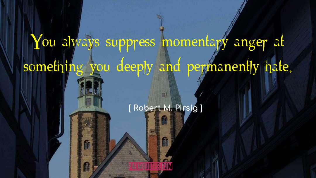 Momentary quotes by Robert M. Pirsig