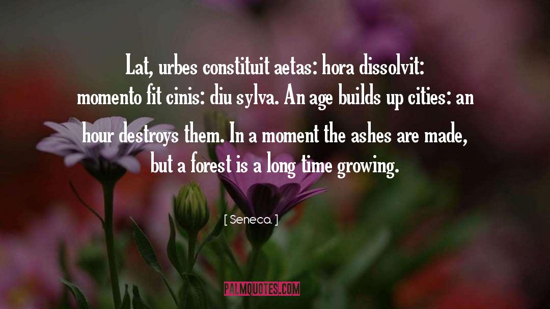 Momento quotes by Seneca.