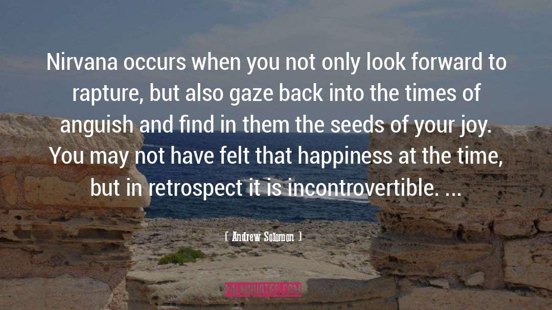 Moments Of Happiness quotes by Andrew Solomon